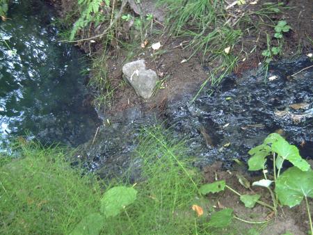 Re: Artículo interesante de problemas en  nuestros rios